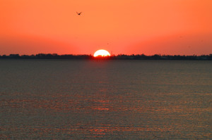 SW Florida Sunsets